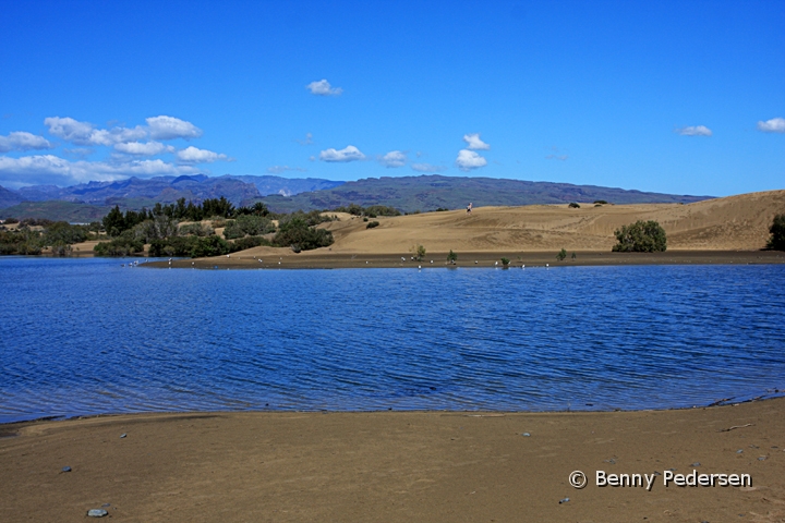 Dunas de Maspalomas 3.jpg -  Dunas de Maspalomas